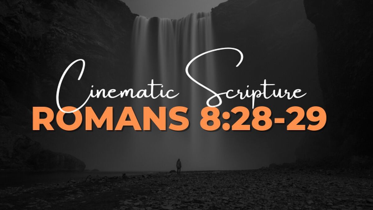 Cinematic Scripture: Romans 8:28-29 image number 0